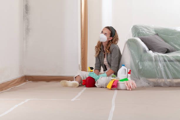 Reliable Black Mold Removal contractor in Churchville, MD by WQB Mold Removal